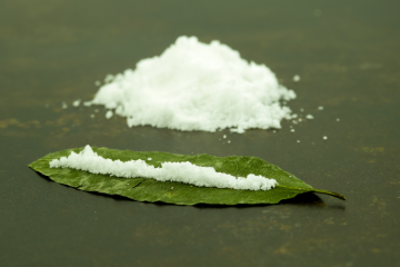 Waaruit bestaat cocaïne? Een kijk op de ingrediënten
