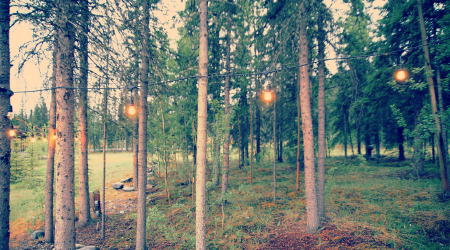 Sfeerverlichting in een bos tijdens een festival