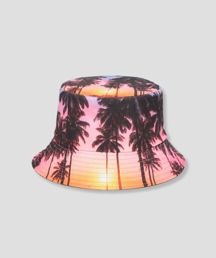 Palm sunset
