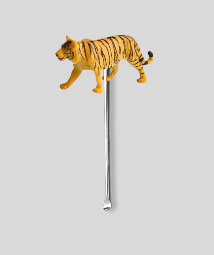 Tijger