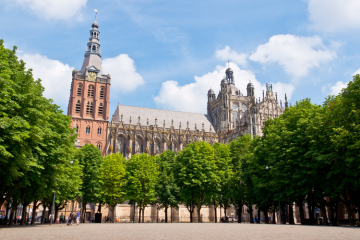 Bomen kerk plein