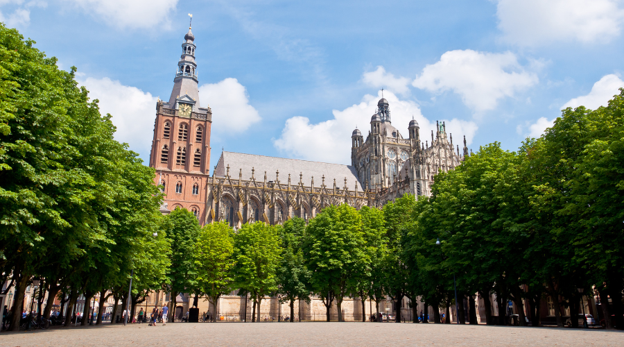 Bomen kerk plein