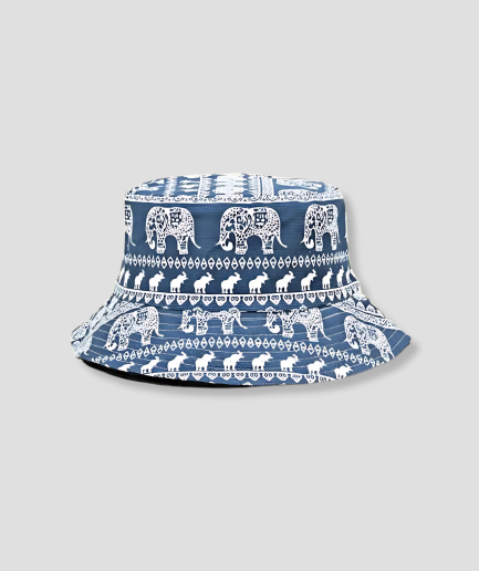 Hoedje-met-olifanten.png