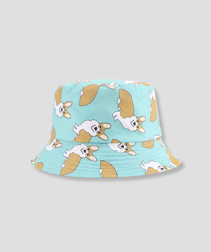 Hondje-hoedje-blauw.png