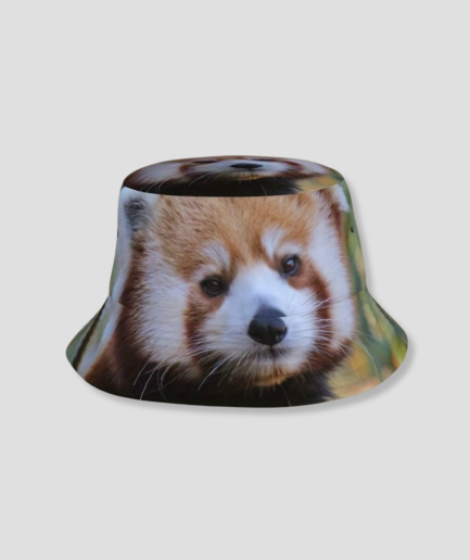 Wasbeer-buckethat.png