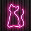 Kitty neon neon verlichting