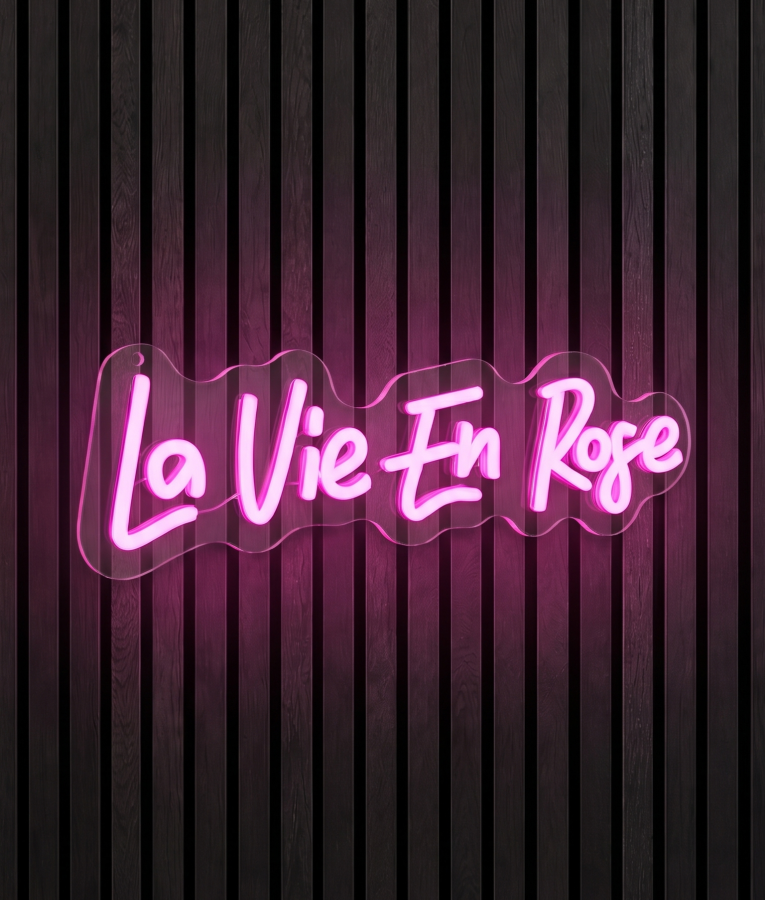 La vie en rose neon lamp