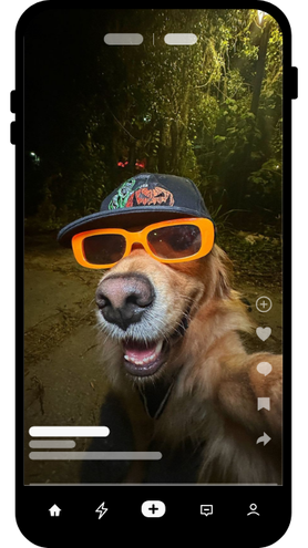 hond met oranje feestbril en pet