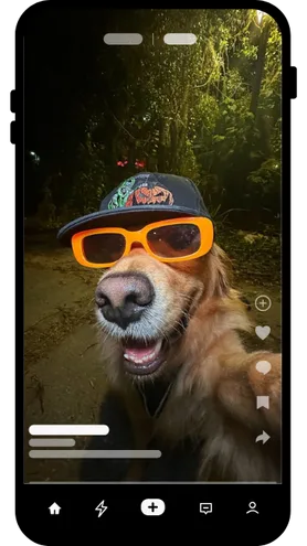 hond met oranje feestbril en pet