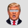 Make Skiing Great Again skimasker