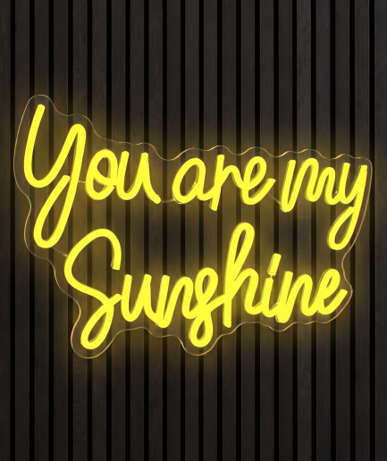 You are my sunshine neon lamp
